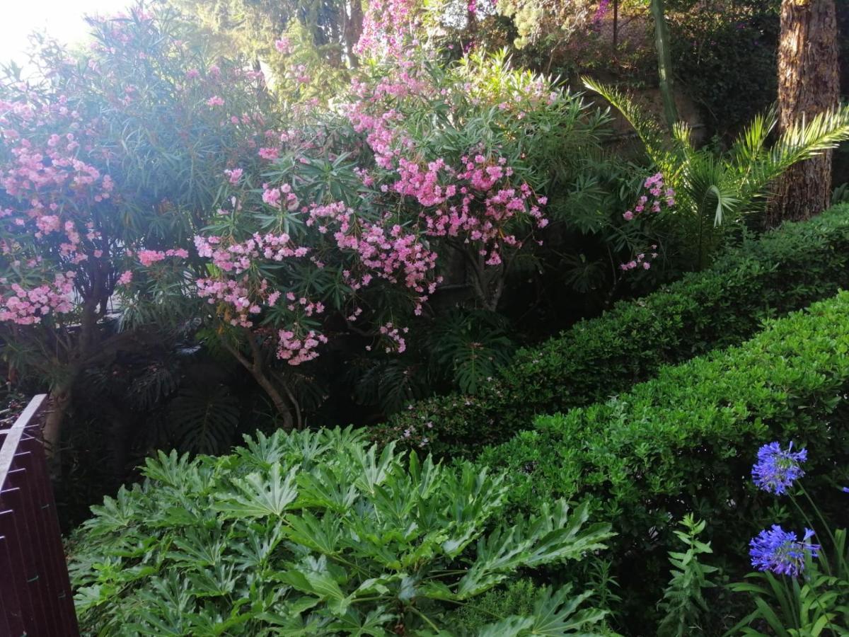 Il Gioiello Nel Parco - Sanremo Apartments Luaran gambar